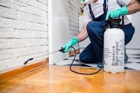 Best Pest Prevention Services  in Saucier, MS